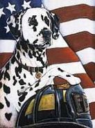 Dalmatian Fire Wiley HEart