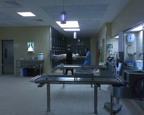 Green Envy Chris Kyle